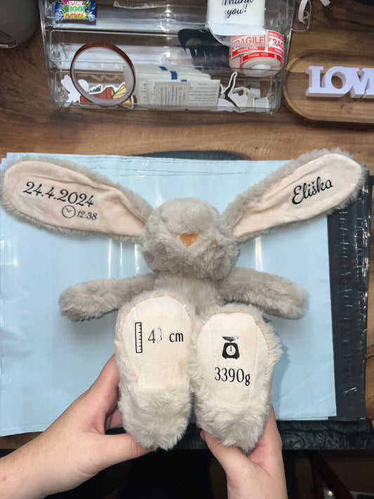 Hnědý personalizovaný zajíček