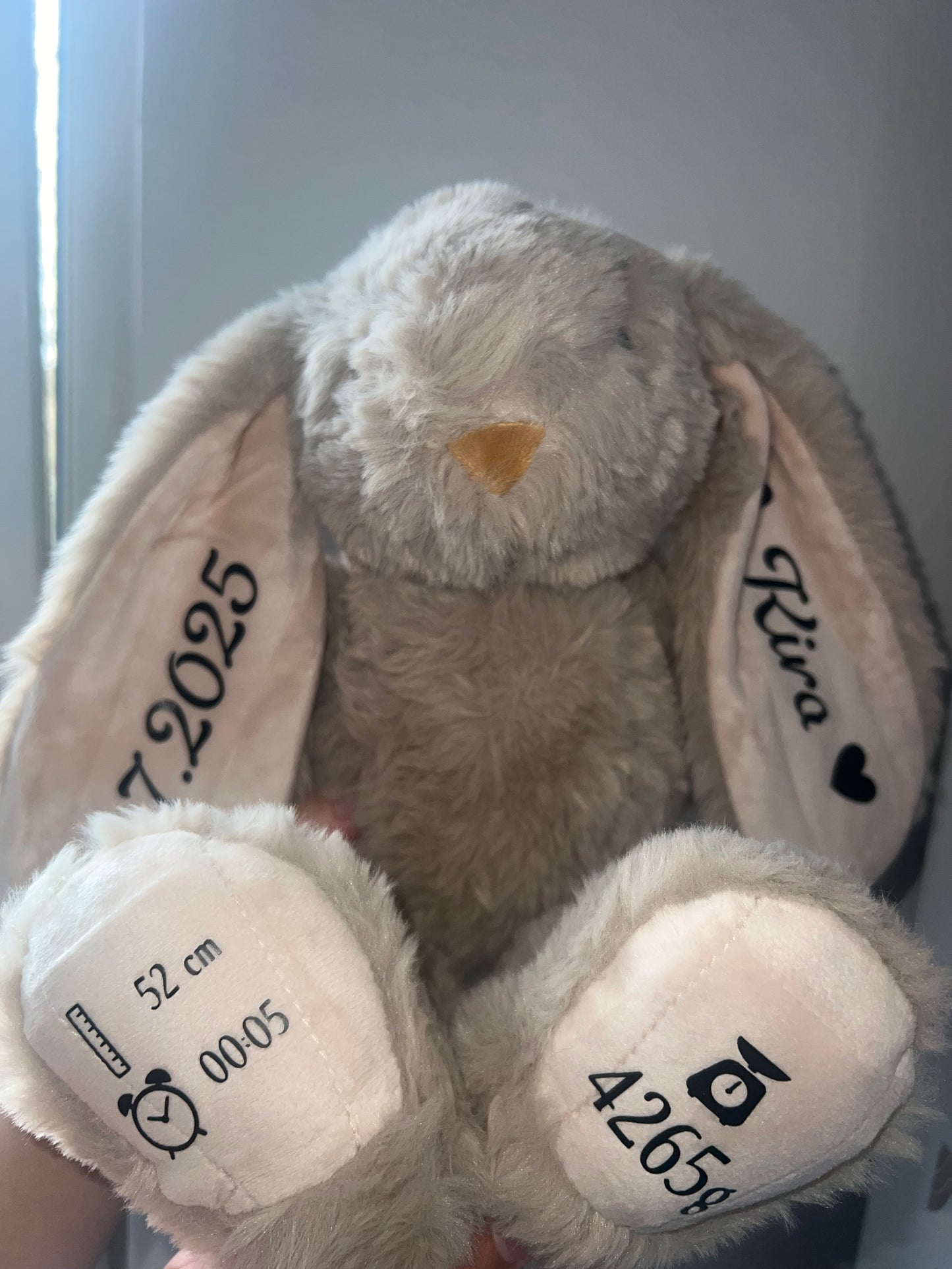 Hnědý personalizovaný zajíček